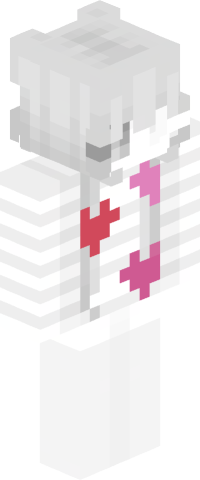 H49 Minecraft Skin